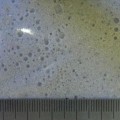 Живой арагонитовый песок Carib Sea Arag-Alive-Bahamas Oolite, 0.25-1.0 мм, 9.1 кг